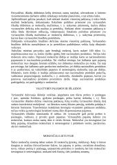 Ekonomikos faktoriai 3 puslapis