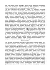 Ekonomikos faktoriai 7 puslapis