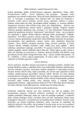 Ekonomikos faktoriai 9 puslapis
