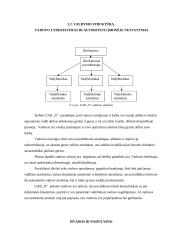 Geras vadovas, koks jis turėtų būti? 11 puslapis