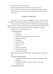 Geras vadovas, koks jis turėtų būti? 7 puslapis