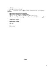 Ignalinos atominė elektrinė. Pavojingas strateginis objektas 2 puslapis