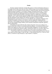 Ignalinos atominė elektrinė. Pavojingas strateginis objektas 11 puslapis