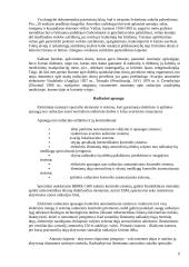 Ignalinos atominė elektrinė. Pavojingas strateginis objektas 7 puslapis