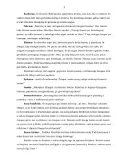 Išmintis - kaip gyvenimo džiaugsmas 3 puslapis