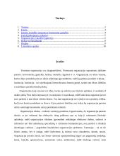 Organizacijos identitetas ir jos įvaizdis 2 puslapis