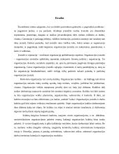 Organizacijos identitetas ir jos įvaizdis 10 puslapis
