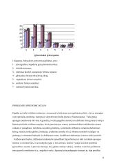 Seksualinė prievarta prieš vaikus. Galimi sprendimo būdai 11 puslapis