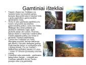 Taivano apibūdinimas 9 puslapis