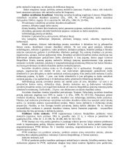 Tarptautinė prekyba 14 puslapis