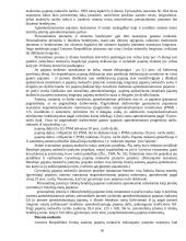 Tarptautinė prekyba 18 puslapis