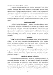 Tarptautinio verslo kultūrinės aplinkos analizė 9 puslapis