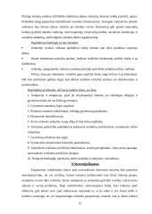 Tarptautinio verslo kultūrinės aplinkos analizė 10 puslapis