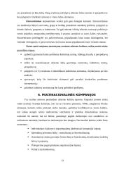 Tarptautinio verslo kultūrinės aplinkos analizė 11 puslapis