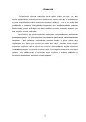 Tarptautinio verslo kultūrinės aplinkos analizė 12 puslapis