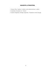 Tarptautinio verslo kultūrinės aplinkos analizė 13 puslapis