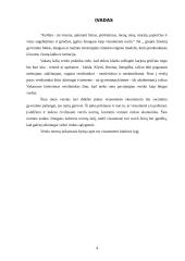 Tarptautinio verslo kultūrinės aplinkos analizė 2 puslapis