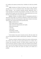 Tarptautinio verslo kultūrinės aplinkos analizė 5 puslapis