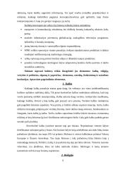 Tarptautinio verslo kultūrinės aplinkos analizė 7 puslapis