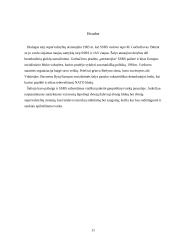 Vakarų ir rytų karinių-politinių blokų paskirtis ir veikla pokaryje 11 puslapis