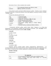 C++ programavimo įvedimo ir išvedimo srautai 2 puslapis