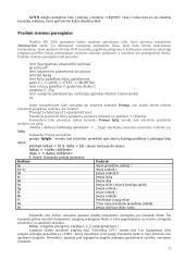 MS-DOS operacinė sistema 11 puslapis