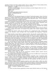 MS-DOS operacinė sistema 13 puslapis