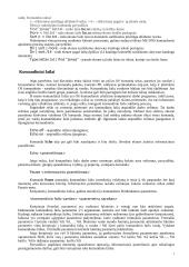 MS-DOS operacinė sistema 7 puslapis