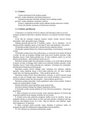 Tiesinių dinaminių sąrašų objektinis programavimas C++ kalba 2 puslapis