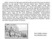 Viskas apie antrąjį pasaulinį karą 13 puslapis