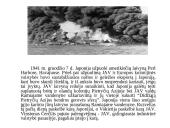 Viskas apie antrąjį pasaulinį karą 17 puslapis