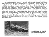 Viskas apie antrąjį pasaulinį karą 19 puslapis