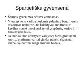 Atėnų ir Spartos raidos skirtumai 10 puslapis