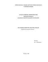 Kultūrinių skirtumų ypatumų analizė