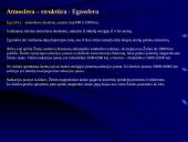 Atmosferos kilmė ir savybės 11 puslapis