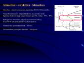 Atmosferos kilmė ir savybės 9 puslapis