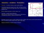 Atmosferos kilmė ir savybės 10 puslapis