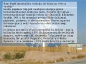 Atominė energetika 11 puslapis
