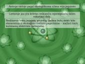 Atominė energetika 12 puslapis