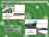 Atominė energetika 7 puslapis