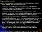 Atomo fizika. Atomo branduolio fizika 16 puslapis