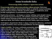 Atomo fizika. Atomo branduolio fizika 20 puslapis