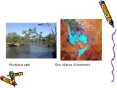 Australijos žemynas ir valstybė 8 puslapis