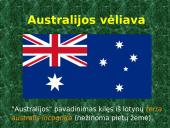 Australija ir jos akmens anglys 2 puslapis