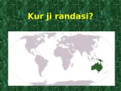 Australija ir jos akmens anglys 3 puslapis