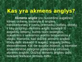 Australija ir jos akmens anglys 10 puslapis