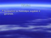 Australijos gyvūnija ir augalija 2 puslapis