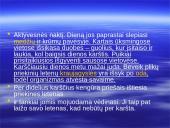 Australijos gyvūnija ir augalija 15 puslapis