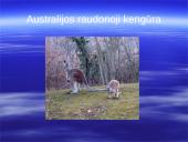 Australijos gyvūnija ir augalija 16 puslapis