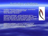 Australijos gyvūnija ir augalija 3 puslapis